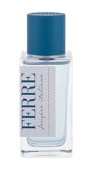 Tualettvesi Gianfranco Ferre Fougere Italiano EDT meestele 50 ml hind ja info | Meeste parfüümid | kaup24.ee