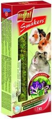 Vitapol Smakers лакомство для кроликов и грызунов с люцерной 90г (2 шт) цена и информация | Корм для грызунов | kaup24.ee