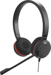 Jabra Evolve 20SE MS цена и информация | Наушники | kaup24.ee