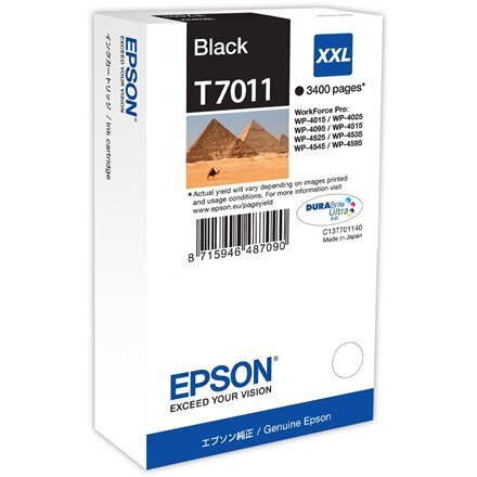 EPSON WP4000/4500 INK C. XXL BLACK 3.4K цена и информация | Tindiprinteri kassetid | kaup24.ee