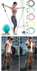 Treeningkummide komplekt Pull Rope Fitness, 11 tk. цена и информация | Фитнес-резинки, гимнастические кольца | kaup24.ee