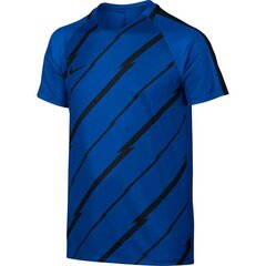 Nike Dry Squad Junior poiste T-särk 833008- 452 (44033) цена и информация | Рубашки для мальчиков | kaup24.ee