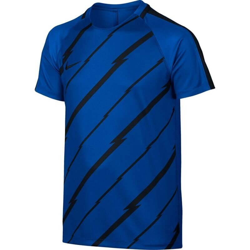 Nike Dry Squad Junior poiste T-särk 833008- 452 (44033) цена и информация | Poiste särgid | kaup24.ee