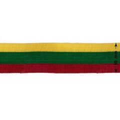 Leedu Vabariigi kolmevärviline pael 50 mm, 1 m цена и информация | Флаги и держатели для флагов | kaup24.ee