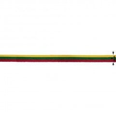 Трехцветная лента Литовской Республики 8 мм, 1 м цена и информация | Флаги и держатели для флагов | kaup24.ee