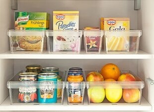 Toidukarp külmiku organiseerimiseks Rotho M LOFT, 3.1L hind ja info | Toidu säilitusnõud | kaup24.ee
