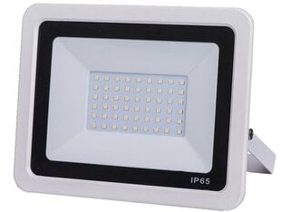 Tänava LED prožektor GR-ECO-FL-50W valge hind ja info | Aia- ja õuevalgustid | kaup24.ee