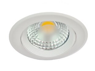LED paneel G.LUX GL-LED-13-A 5W valge цена и информация | Монтируемые светильники, светодиодные панели | kaup24.ee