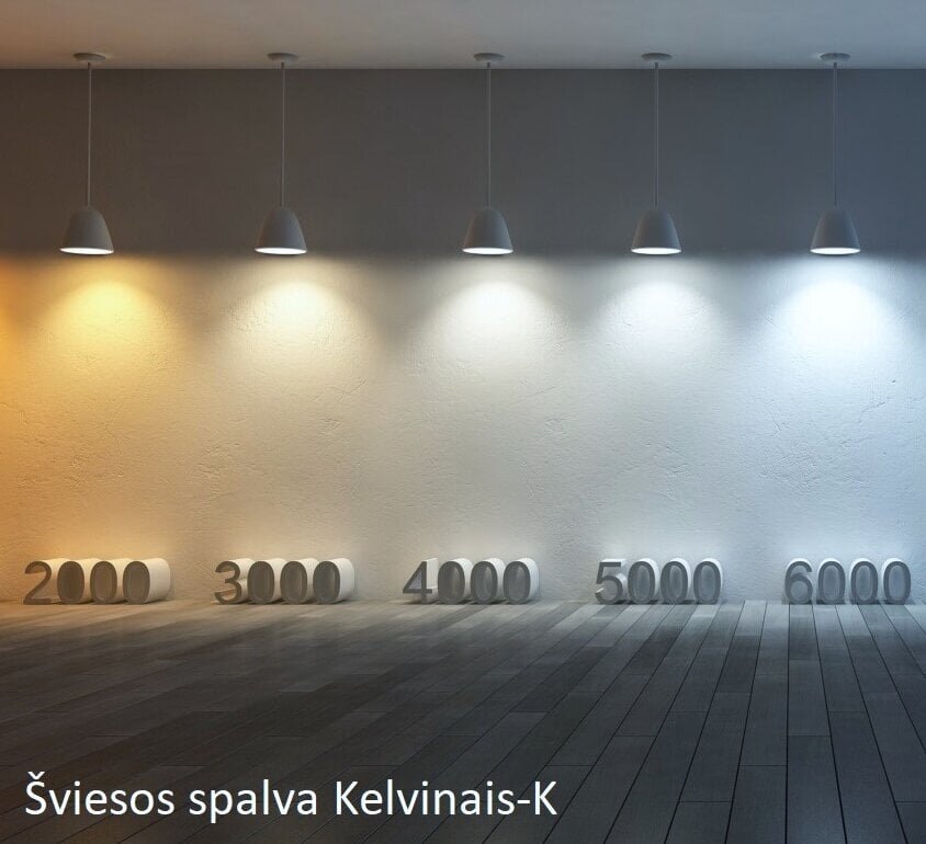 LED pirnid G.LUX GR-LED-A60-15W 6000K, 10 tk. pakett цена и информация | Lambipirnid, lambid | kaup24.ee