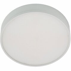 LED светильник G.LUX GW-800-LED 16W цена и информация | Потолочные светильники | kaup24.ee