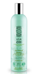 Kõõmavastane šampoon Natura Siberica 400 ml hind ja info | Šampoonid | kaup24.ee