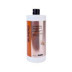 Taastav šampoon kaeraekstraktiga Brelil Numero Restructuring Shampoo With Oats, 1000 ml hind ja info | Šampoonid | kaup24.ee