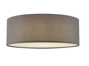 Laelamp G.LUX GT-612-3 fabric gray цена и информация | Потолочные светильники | kaup24.ee