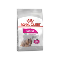 Royal Canin Mini Exigent kuivtoit väikestele valivatele koeratõugudele, 1 kg цена и информация | Сухой корм для собак | kaup24.ee