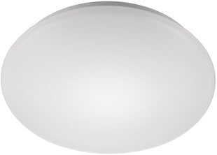 LED pirn G.LUX GR-LED-ROUND-24W hind ja info | Laelambid | kaup24.ee