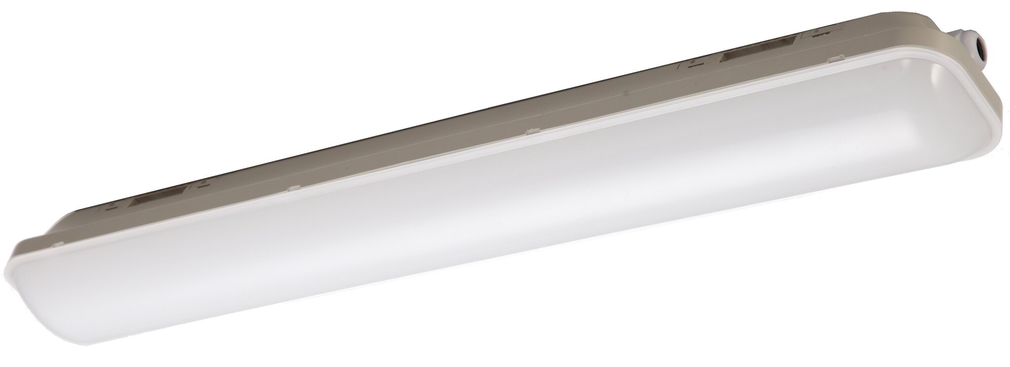 LED IP65 pirn G.LUX GWP-LED-18W hind ja info | Laelambid | kaup24.ee