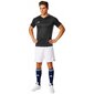 Adidas Condivo 16 Training M meeste T-särk, sinine hind ja info | Meeste spordiriided | kaup24.ee