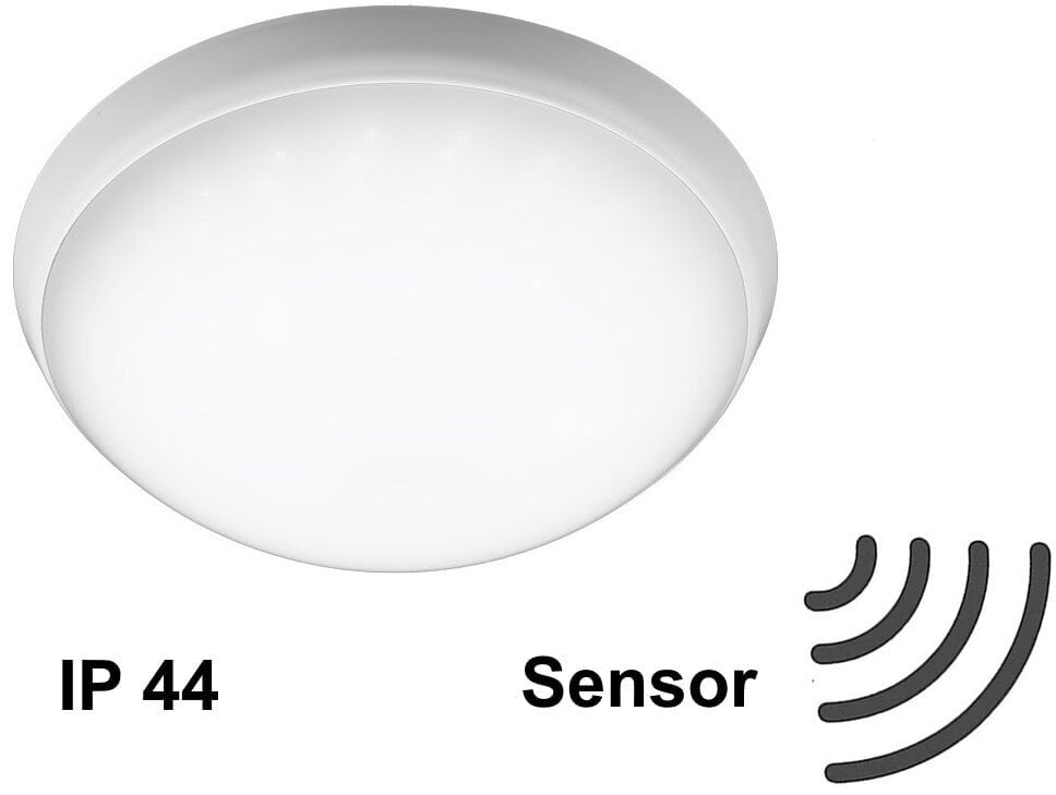 Liikumisanduriga LED valgusti G.LUX GR-CP-LED-15W/SENSOR цена и информация | Laelambid | kaup24.ee