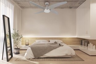 Ventilaatoriga lamp G.LUX GF-DICUS цена и информация | Светильники-вентиляторы | kaup24.ee