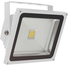 Väli LED-prožektor GX-LED-FL-20W valge цена и информация | Уличное освещение | kaup24.ee