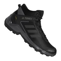 Adidas Poolsaapad Terrex Eastrail Mid Black цена и информация | Кроссовки для мужчин | kaup24.ee