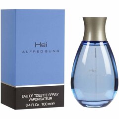 Tualettvesi Alfred Sung Hei EDT meestele, 100 ml hind ja info | Meeste parfüümid | kaup24.ee