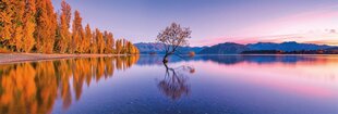 Головоломка Clementoni High Quality Collection Panorama Lake Wanaka Tree, 39608, 1000 д. цена и информация | Пазлы | kaup24.ee