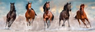 Головоломка с лошадьми Clementoni High Quality Collection Panorama, 39607, 1000 д. цена и информация | Пазлы | kaup24.ee