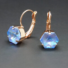 Swarovski kristallidega kõrvarõngad naistele DiamondSky Kaleidoscope Ocean DeLite hind ja info | Kõrvarõngad | kaup24.ee
