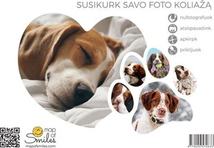 Kollaažfoto raam 6 fotot puidust raamiga PETS hind ja info | Maailmakaardid | kaup24.ee