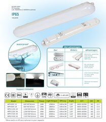 LED IP65 pirn G.LUX GWP-LED-36W цена и информация | Потолочные светильники | kaup24.ee