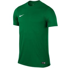 Спортивная футболка для мальчиков Nike Park VI Junior 725984-302, 44042, зеленая цена и информация | Рубашки для мальчиков | kaup24.ee