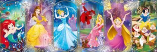 Головоломка Clementoni Panorama Диснеевские Принцессы (Disney Princess), 39444, 1000 д. цена и информация | Пазлы | kaup24.ee