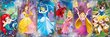 Pusle Clementoni Disney printsess (Disney Princess), 39444, 1000 osaline hind ja info | Pusled | kaup24.ee