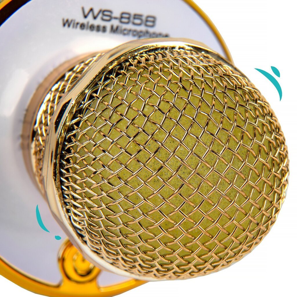 Karaoke mikrofon - kõlar häält muutvate efektidega WS-858 цена и информация | Arendavad mänguasjad | kaup24.ee