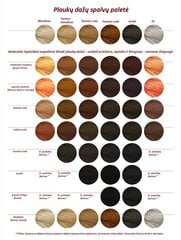Растительная краска для волос Khadi 100 г, Чистый Индиго (иссиня черный) цена и информация | Краска для волос | kaup24.ee