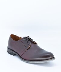 Выходные туфли для мужчин Elche цена и информация | Мужские ботинки | kaup24.ee