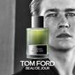Parfüümvesi Tom Ford Signature Beau De Jour EDP meestele 100 ml hind ja info | Meeste parfüümid | kaup24.ee