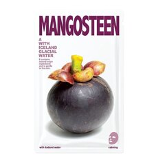 Листовая маска для лица Bliue Dot Mangosteen 20 г цена и информация | Маски для лица, патчи для глаз | kaup24.ee