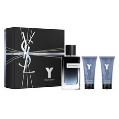 Komplekt Yves Saint Laurent Y: EDP meestele 100 ml + raseerimisjärgne palsam 50 ml + dušigeel 50 ml цена и информация | Мужские духи | kaup24.ee