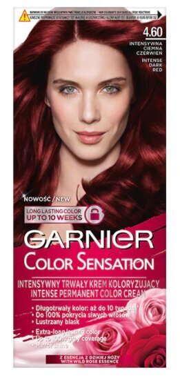 Kauapüsiv juuksevärv Garnier Color Sensation 110 ml, 4.60 Intense Dark Red hind ja info | Juuksevärvid | kaup24.ee