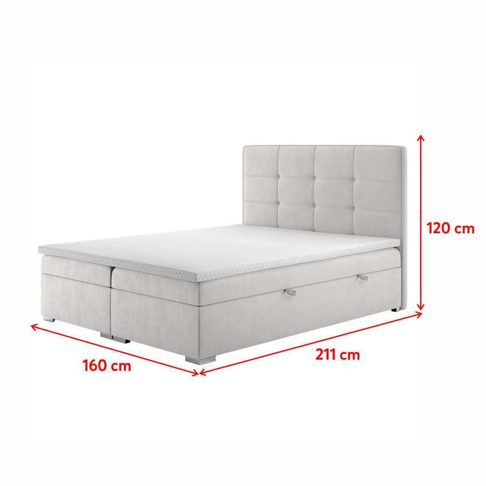 Voodi Selsey Bongiorno 160x200 cm, hall hind ja info | Voodid | kaup24.ee