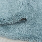 Ayyildiz vaip Fluffy Blue 3500 120x170 cm hind ja info | Vaibad | kaup24.ee