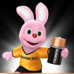 Patareid Duracell C LR14 2 tk цена и информация | Батарейки | kaup24.ee