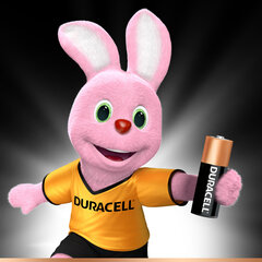 Patareid Duracell MN21, 1 tk hind ja info | Patareid | kaup24.ee