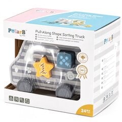 Puiduauto - PolarB Viga sorteerija цена и информация | Игрушки для малышей | kaup24.ee