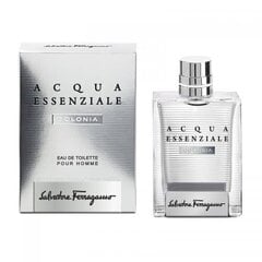 Meeste parfüüm Acqua Essenziale Salvatore Ferragamo EDT (100 ml): Maht - 100 ml hind ja info | Meeste parfüümid | kaup24.ee