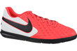 Jalgpallijalatsid Nike Tiempo Legend 8 Club IC AT6110-606 цена и информация | Jalgpallijalatsid | kaup24.ee