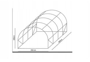 Tunnelkasvuhoone 4 segmenti, 4x2,5x2 m, roheline цена и информация | Теплицы | kaup24.ee
