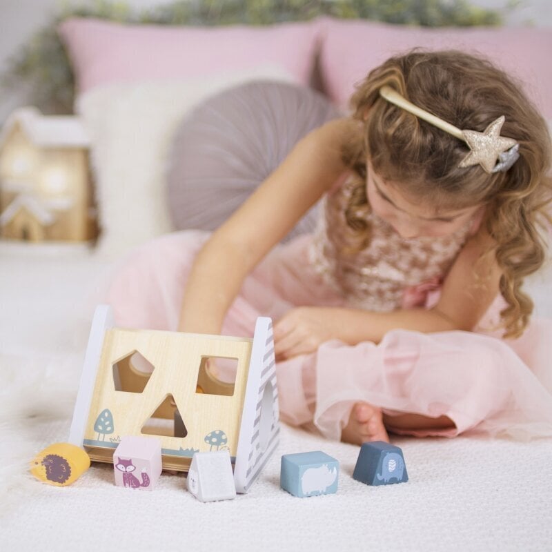 „Viga PolarB” puidust sorteerimiskomplekt kuubikutega hind ja info | Imikute mänguasjad | kaup24.ee